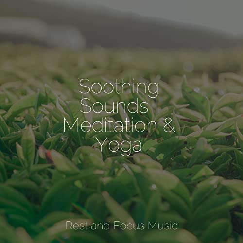 Écouter Soothing Sounds Meditation & Yoga de Baby Sleep, Study Music