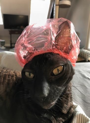Image of Shower Caps for Sphynx Cats & Small Pets, Red 20-Pack Poly Bag - Waterproof Bath Protection with Elastic Band, Keeps Ears Dry During Grooming