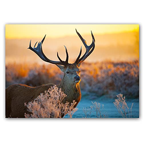 Kit de peinture diamant 5D wapiti anti-stress pour réussir sa décoration murale