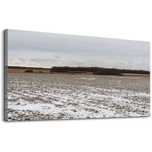 Wibinuki Canvas Wall Art Vast plowed field blanketed in light