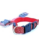 Resulta esencial en las labores de entrenamiento para perros. Apto para todo tamaño de mascota (pequeños, medianos y grandes).