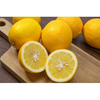八幡浜産・レモン6kg[家庭用](C56-57)