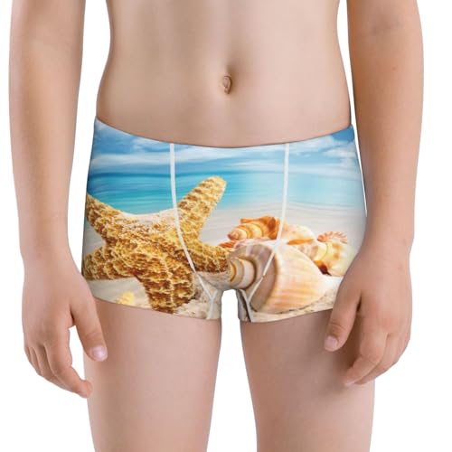Boys' Cotton Boxer Brief Soft Underwear-Beach Starfish Shell