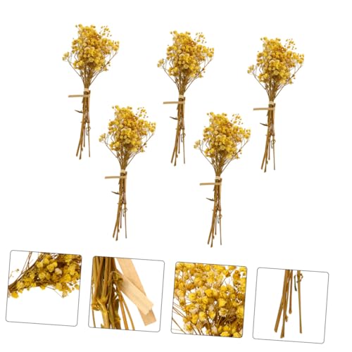 5 unidades ramilletes naturales secos de flor Gypsophila miniatura 5
