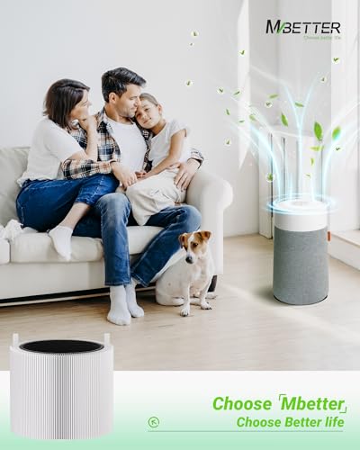 Image of 2 Pack Blue Pure Mini Max SmokeBlock Filters Compatible with Blue Pure Mini Max Air Puri-fier, Activated Carbon Filters