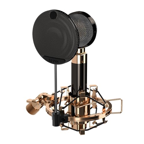 iCON Pro Audio Aurora Condenser Microphone with Shock Mount (Large Diaphragm)