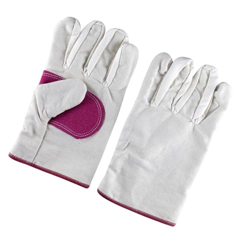 SUNCN hAEݍƗp܁AیA^pA|p