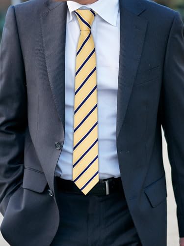 Image of Luckyvestir Striped Ties for Men Classic 3.15 inch Men's Tie Formal Neckties for Business Graduation Dinner Wedding
