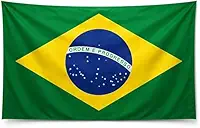 Bandeira Do Brasil Oficial 160x90 Cm Poliéster Oxford