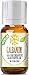 Galbanum 100% Pure, Best Therapeutic Grade Essential Oil - 10ml