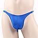 WenMei Mens Fashion Sexy Hollow Out Double Low Brief Thong G-String Bikinis Underwear (Royal Blue(G-String))