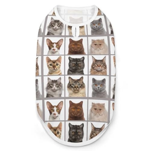 ybg 킢 lR L  ybgEFA TVc p[J[ Ȃ ̕ ^Ngbv ^Ngbv N[xXg ʋC t@bV S-2XL