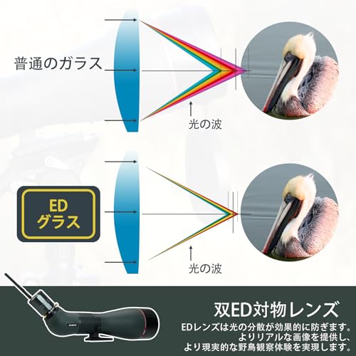 SVBONY SA401ED フィールドスコープ SC001 電子接眼レンズ付き 25-75x 100mm EDレンズ の商品画像 2