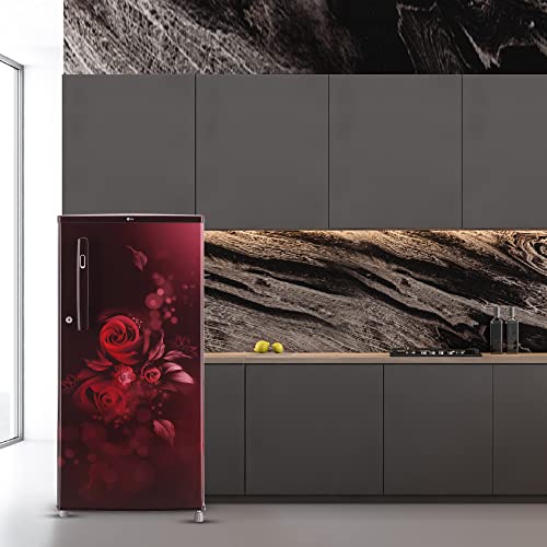 Image of LG 185 L 3 Direct-Cool Single-Door Refrigerator Appliance (GL-B199OSED, Scarlet Euphoria, Fastest Ice Making, 2023 Model)