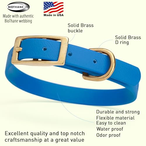 Image of Viper Biothane Heavy Duty Waterproof Dog Collar Strong Coated Nylon Webbing w /Solid Brass Hardware Odor-Proof Easy to Clean High Performance Fits Small Medium or Large Dogs, Cerulean Blue