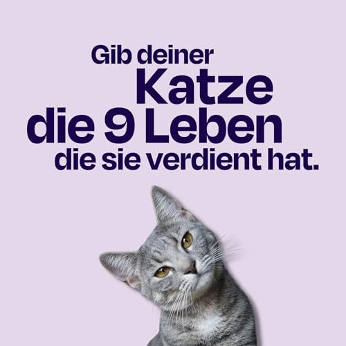 The Better Cat Super Premium Trockenfutter für Katzen | Getreidefreies Katzenfutter Trocken | Hoher Fleischanteil | Ohne Zucker | Mit Probiotika (1kg, Lachs)