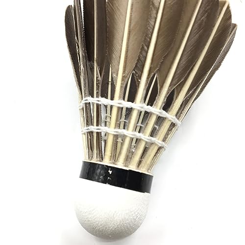 balacoo 12 Advanced Badminton Shuttlecocks Chicken Birdie Speed Training Hight Quality Perfect for Beginners and Trainers