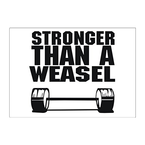Teeburon Stronger Than a Weasel Sticker Pack x4