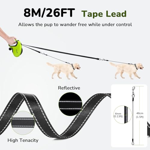 Pecute Hundeleine 8m, Verbesserte Kausichere Rollleine für Hunde, EIN-Knopf-Steuerung & Verwicklungsfrei, Robuste Nylonleine mit Reflektorstreifen, Hundeleine für Mittel & Große Hunde bis 50 kg