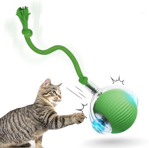 y2024ǌ^z L {[ L   lV L d  L̂ 3[h VR[f t ^s΍ XgX p  lR  O[