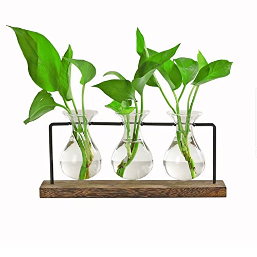 Plant Terrarium with Wooden Stand Innjoii, Propagation Station with 3 Hyacinth Vases