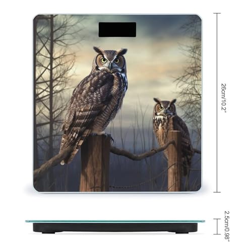 Báscula Digital de Baño Precisa 400 lb Pantalla LED miniatura 2