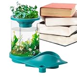 Acuario Betta de Oficina, Acuario Pequeño, Acuario Silencioso translúcido - Acuario Autónomo con Ecosistema Acuapónico Acuario para Tienda de Peces, Casa, Lugar de Trabajo, Apartamento
