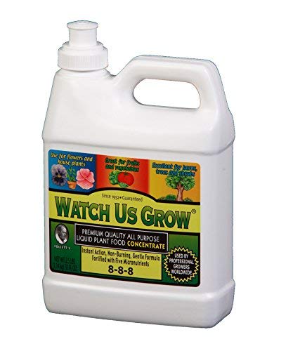 All Purpose Liquid Plant Food Fertilizer Concentrate (1, Quart)
