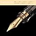 2x Fountain Pen Replacement Nib Special Spare Nib for Wings Pilot Fountain Pen 78G 88G KaKuno Desk Pen (Gold Nib EF x 2)