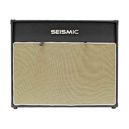 Seismic Audio - 212 GUITAR SPEAKER CAB EMPTY - 7 Ply Birch - 12