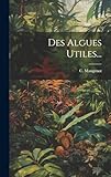  Des Algues Utiles...
