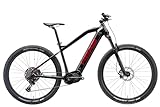 HEAD Unisex – Erwachsene Lagos 2.0 E-Mountainbike, schwarz/rot, 46