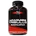 Produktbild Tribulus Maximize - 180 Kapseln - Hochdosiert mit 4500 mg pro Tagesdosis - Premium: 95% Saponine - Reines Tribulus Terrestris Extrakt 10:1 - Vegan