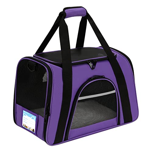 Top 10 Grreat Choice Pet Carrier of 2022 Katynel