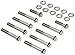 ARP 4552102 Stainless 300 12-Point Intake Manifold Bolt Kit
