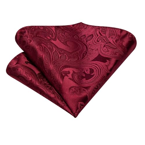 Image of Hi-Tie Silk Ascot for Men Self Tie Men's Cravat and Flower Lapel Pin Handkerchief Cufflinks Set for Wedding Party