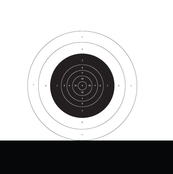 MR31 Style Bullseye Target Black and White