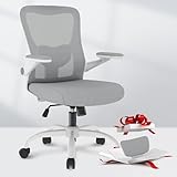 FLEXISPOT Ergonomic Office Chairs Mesh Computer Desk Chair with 4D Flip-up Armrests 2D Lumbar Support Comfy High Back Rolling Task Chair with Swivel Wheels, Grey-1