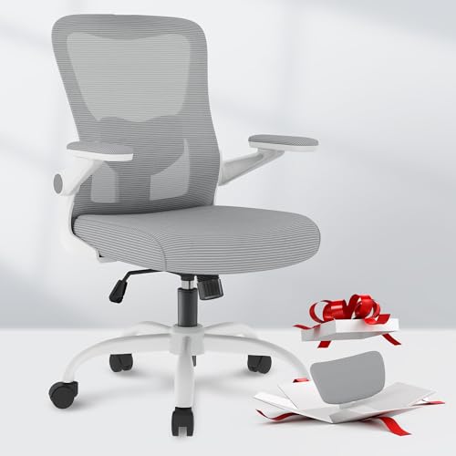 FLEXISPOT Ergonomic Office Chairs Mesh Computer Desk Chair with 4...