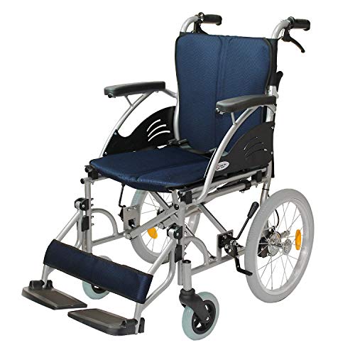 PAebNWp  A~ Ԉ֎q CA-21SU nslX -- (lCr[)