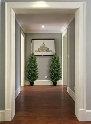 Aveyas 5ft Artificial Cedar Topiary Trees for Outdoor Front Porch Door, 5 Feet Faux Potted Plants Evergreen Fake Silk Pine Cypress Tree for Outside Home Decor (5 ft Tall) - Set of 2 Pack