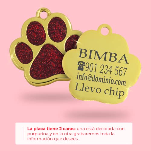 ibera gifts - Hundemarke mit Gravur - Personalisierte Hundemarke in Pfotenform für kleine und mittelgroße Haustiere - Hochwertiges legiertes Metall - Hundemarke personalisiert