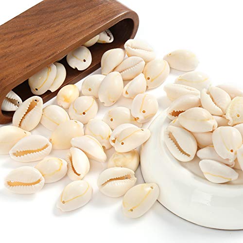 HERZWILD Cowrie Shells Tiny Natural Yellow Sea Shell Cowry Beads Oval Seashells Summer Beach Shells Charm Beads for Bracelet Anklet Earring Jewellery Making DIY Crafts (17-20mm)