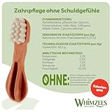WHIMZEES Zahnbürste M, 12 Stück – Größe M, Kaustangen für mittelgroße Hunde zur Zahnpflege, Getreidefrei, Natürlich, ohne Zuckerzusatz