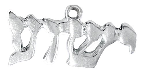 YESHUA (JESUS IN HEBREW LETTERING), Named By An Angel Of