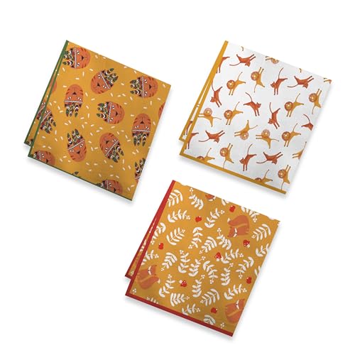 Junvena 3 Pack Printed Designer Handkerchiefs Fancy Gift Box Soft Lightweight 16 inch Hankies for Men Women and Kids