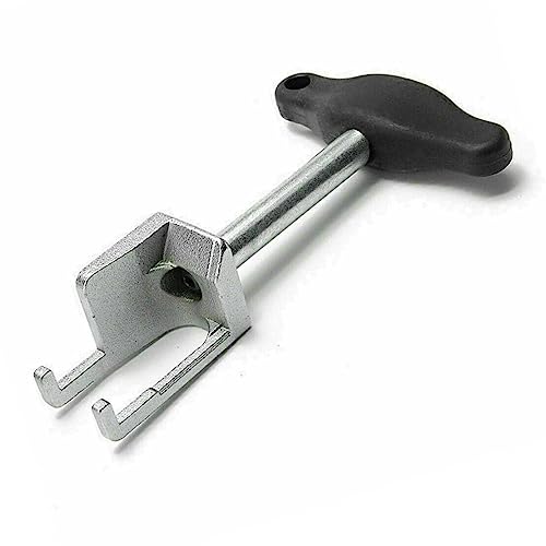 Allstar Performance ALL18093 0.562 in. Head Multi-Grip Rivet with 0.5-0.75 in. Grip Range, Natural - Set of 250