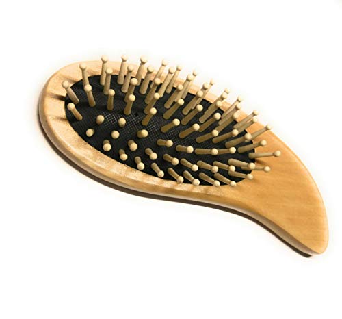 GSGO Detangler Hair Brush Ergonomic and Compact Design for Beautiful and Healthy Hair Also Includes Carry Bag for Travelling Anywhere!