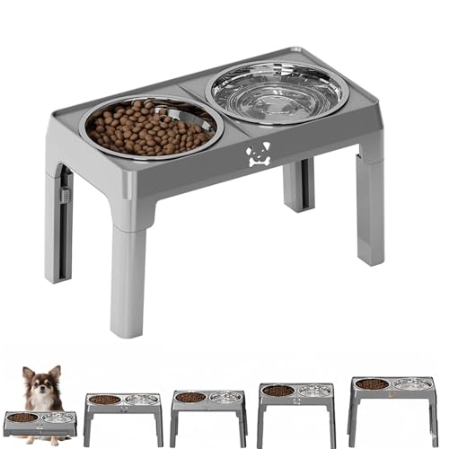 Lifetips `iChihuahuaj Lp H t[h{EX^h {E  ܂肽 pT|[g Hׂ₷ Hh~ 􂢂₷ ~  i5iK O[j