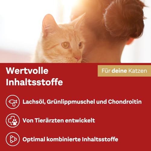 Doppelherz Gelenk Complex für Katzen – Mit essentiellen Omega-3 Fettsäuren + Vitamin E – 25 Licks